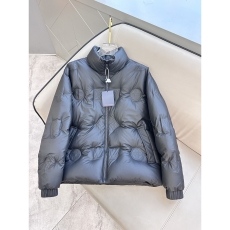 Louis Vuitton Down Jackets